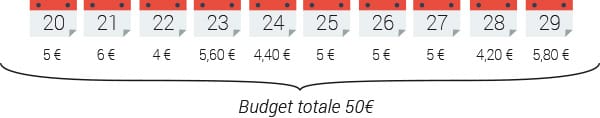 inserzione 50 euro budget totale